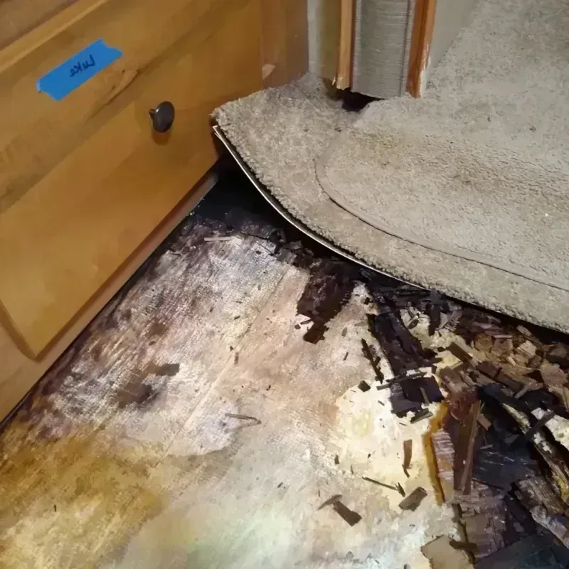 Best Wood Floor Water Damage Service in Hatch, NM